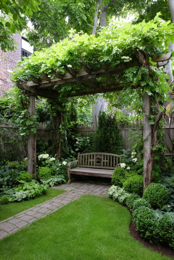 Climbing Vines on Trellises
