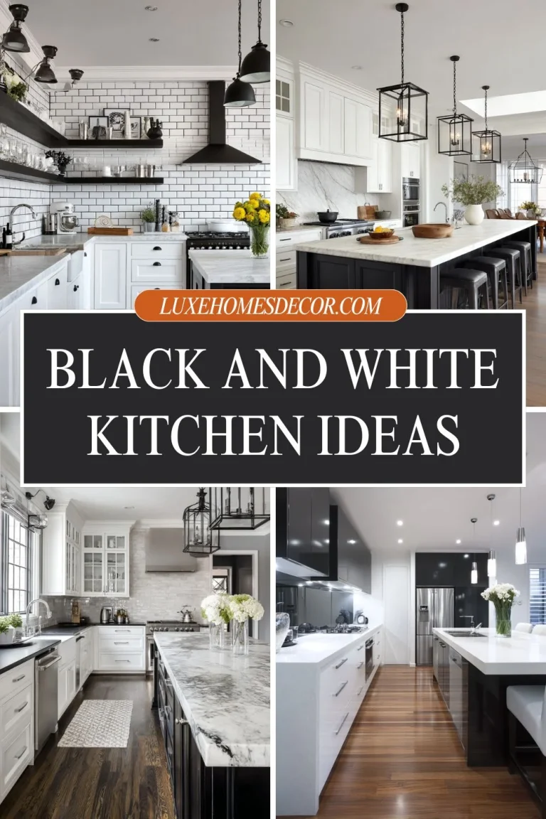 black and white kitchen ideas